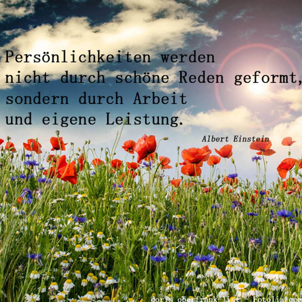 spruch des tages4