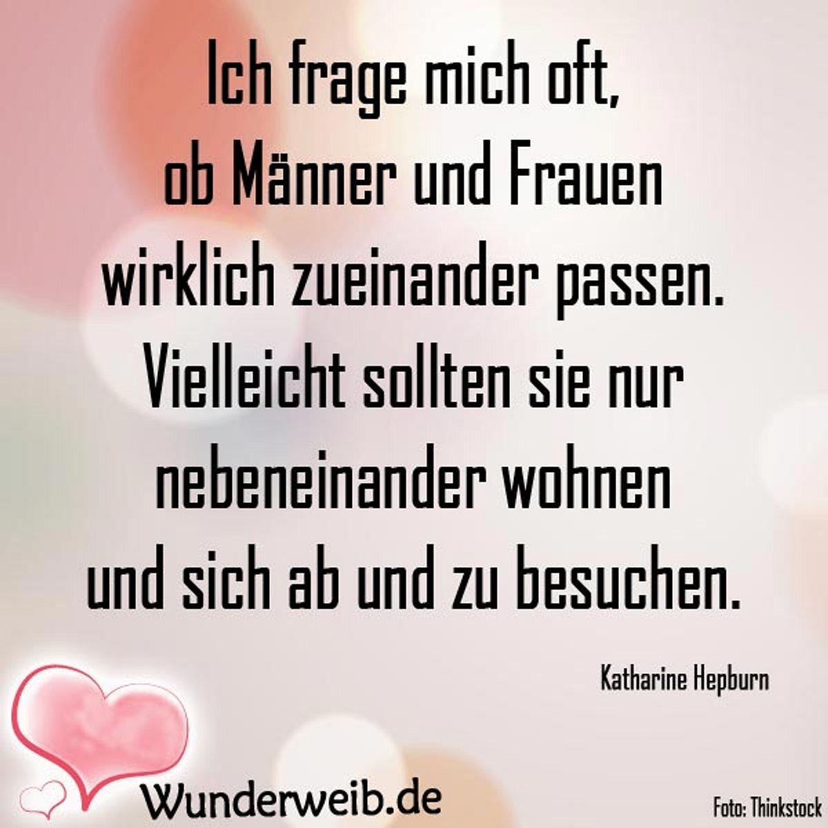 spruch des tages4