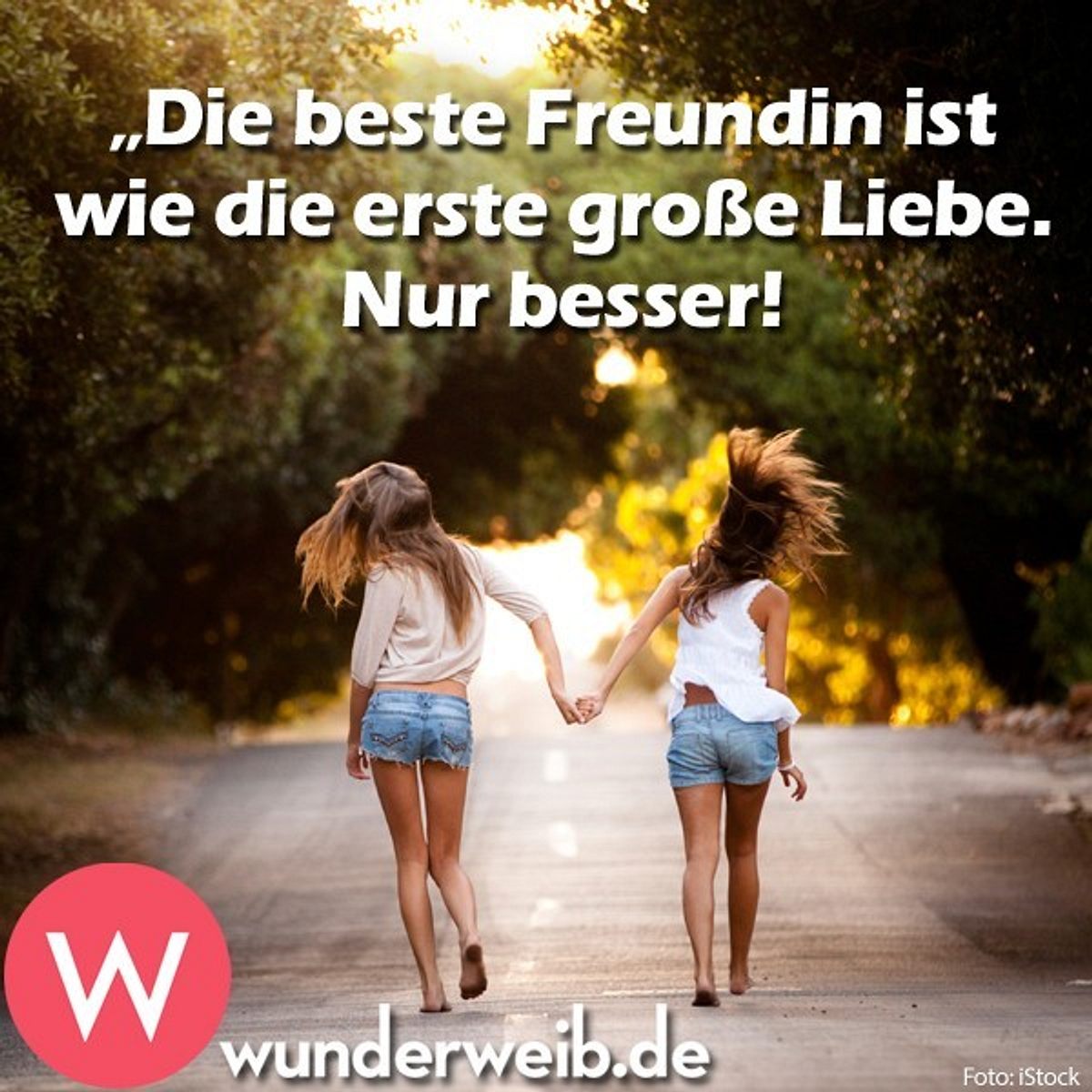 spruch des tages4