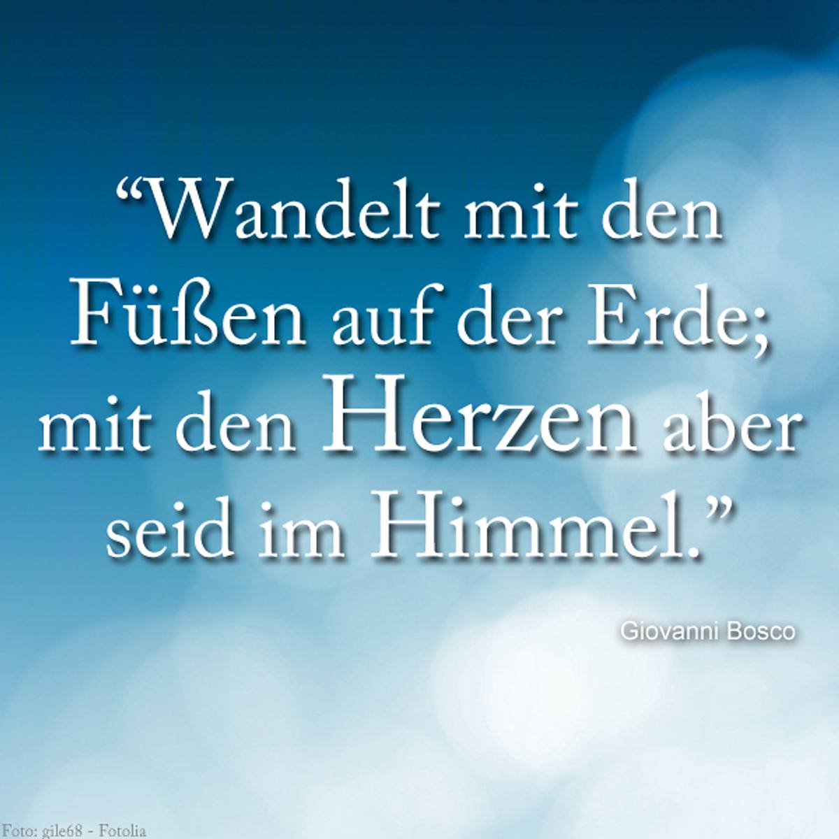 spruch des tages4