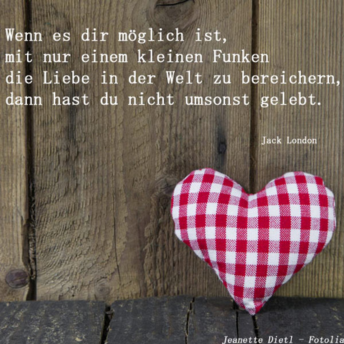 spruch des tages4