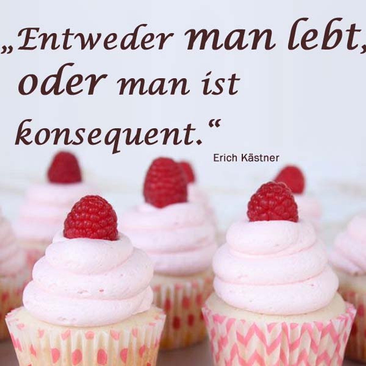 spruch des tages4