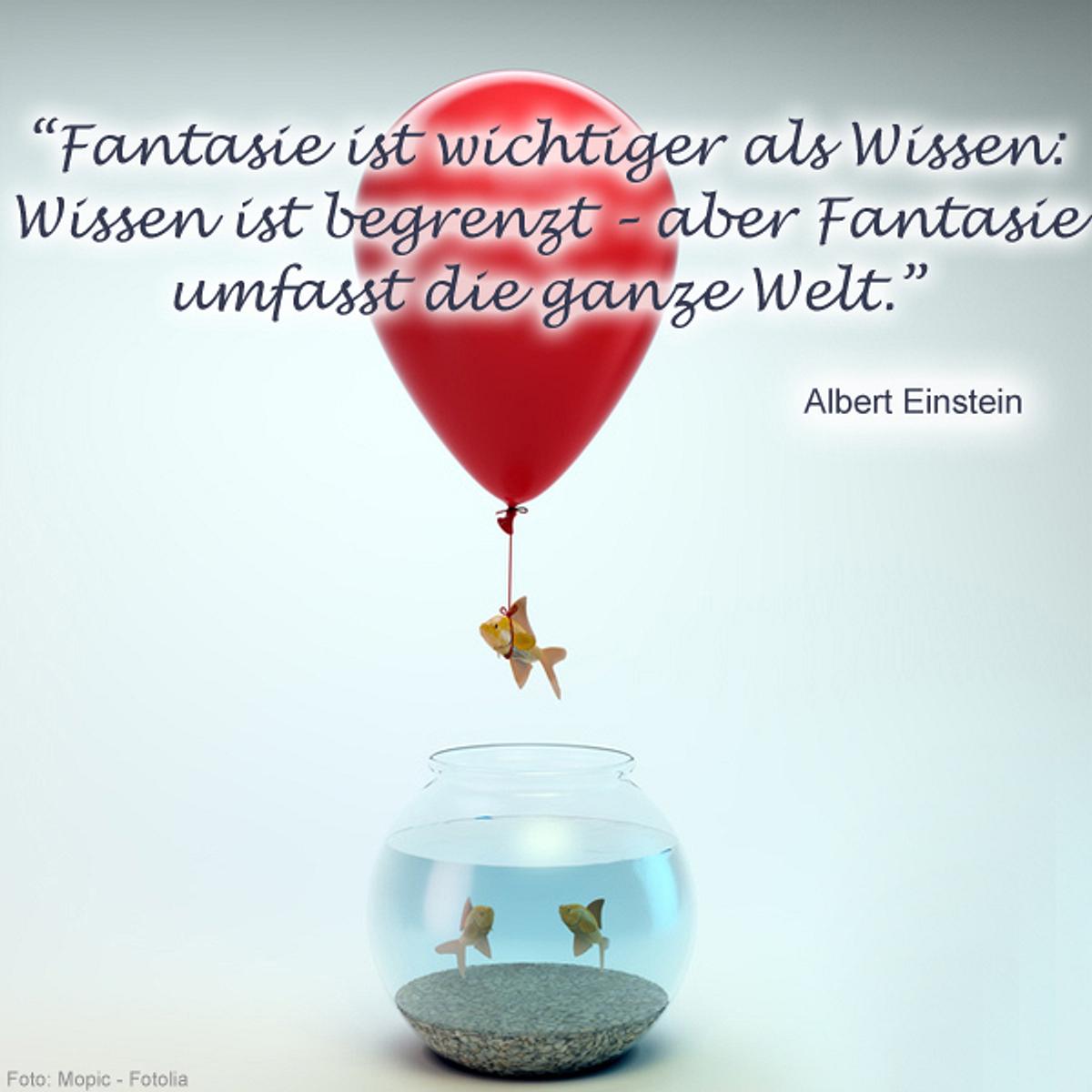 spruch des tages4