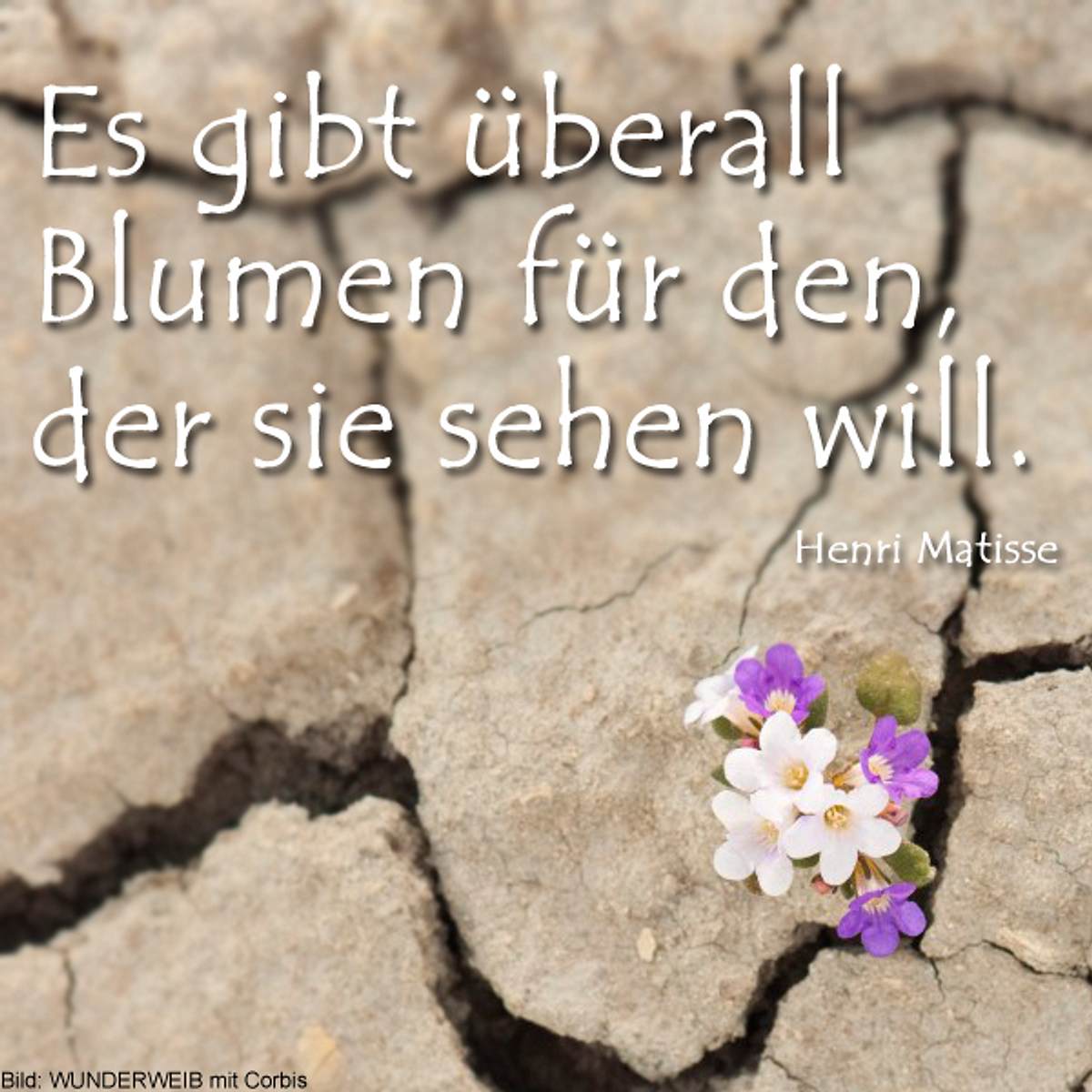 spruch des tages4