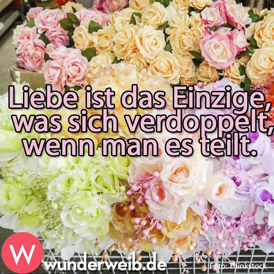 Motto des Tages - Weisheiten für jeden Tag spruch des tages4