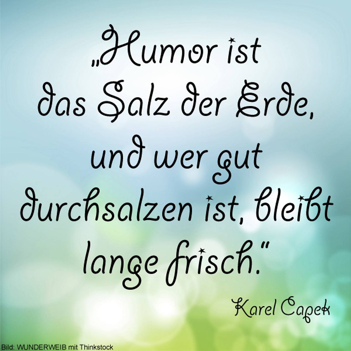 spruch des tages4