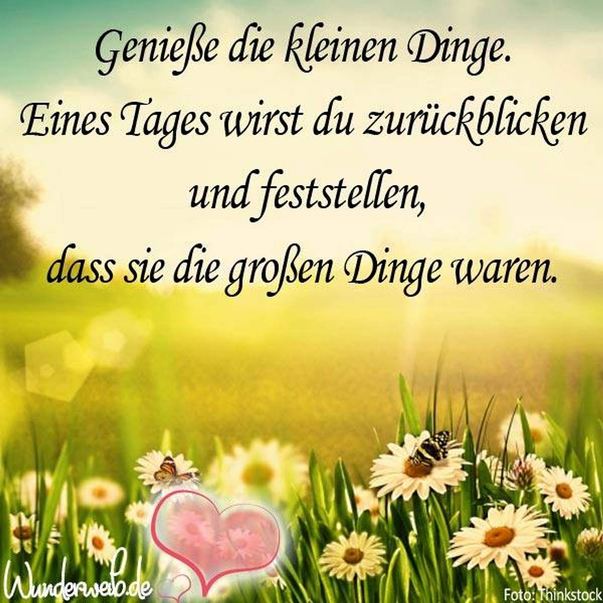 spruch des tages4