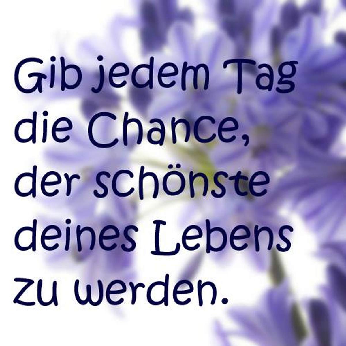 spruch des tages4