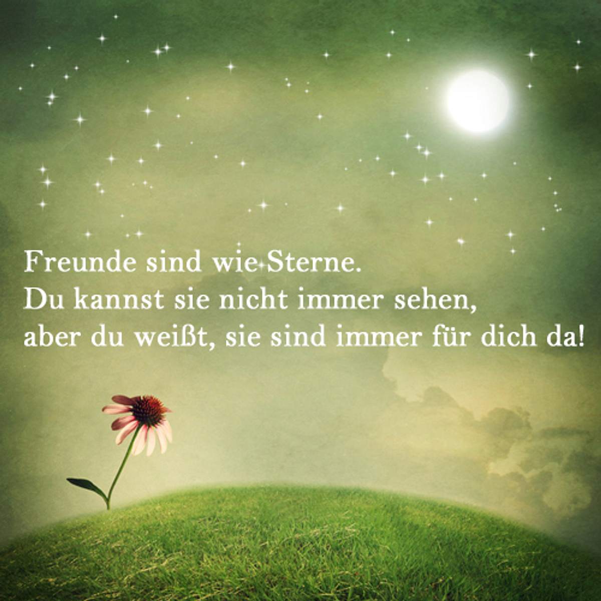 spruch des tages4