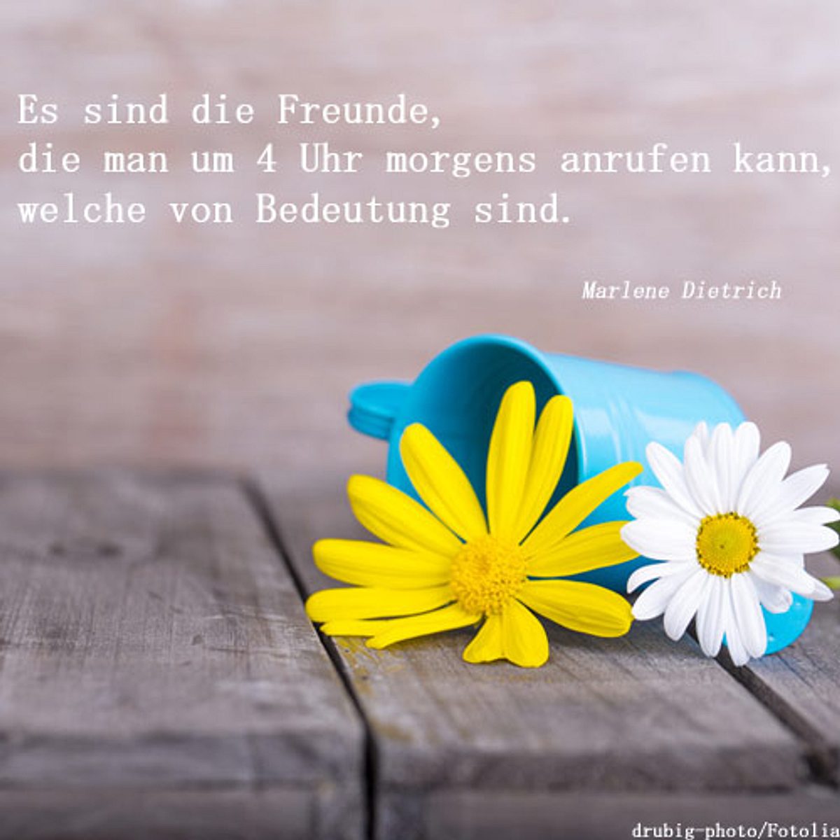 spruch des tages4