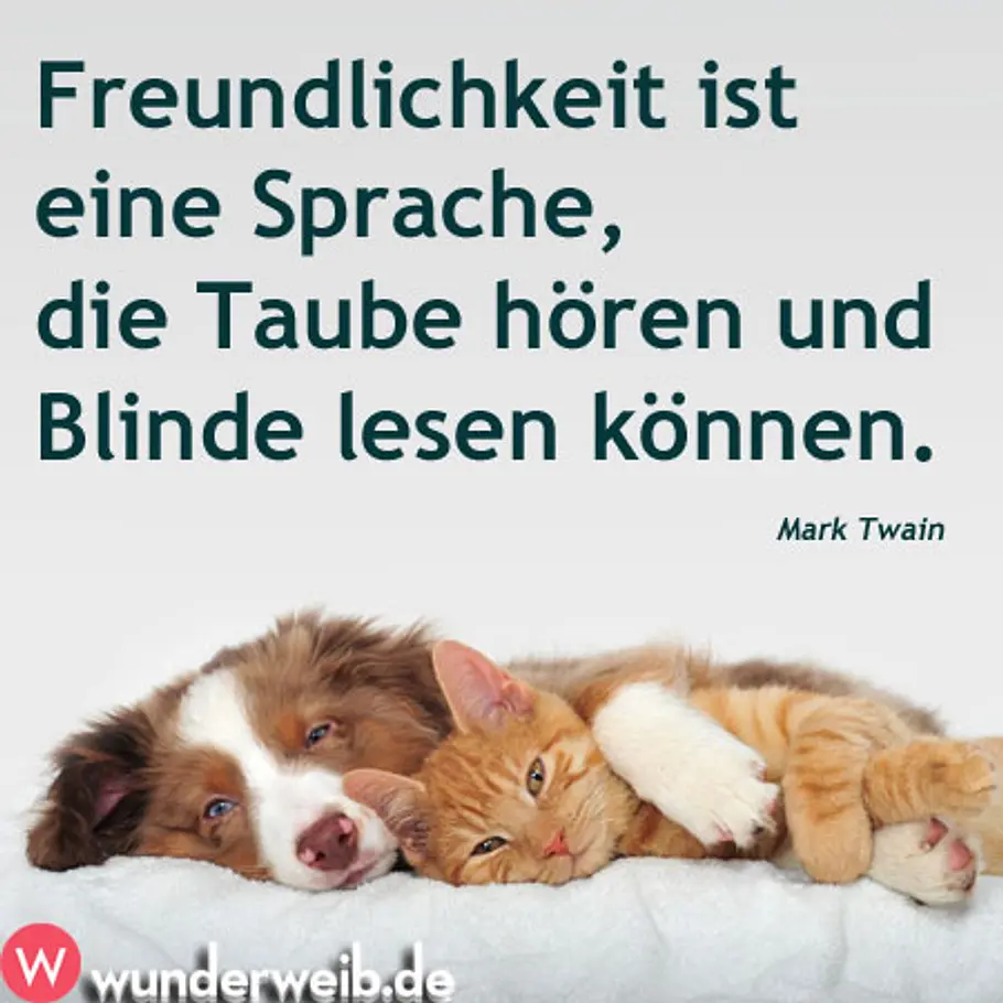 Motto des Tages: dieser Spruch lehrt fürs Leben spruch des tages4