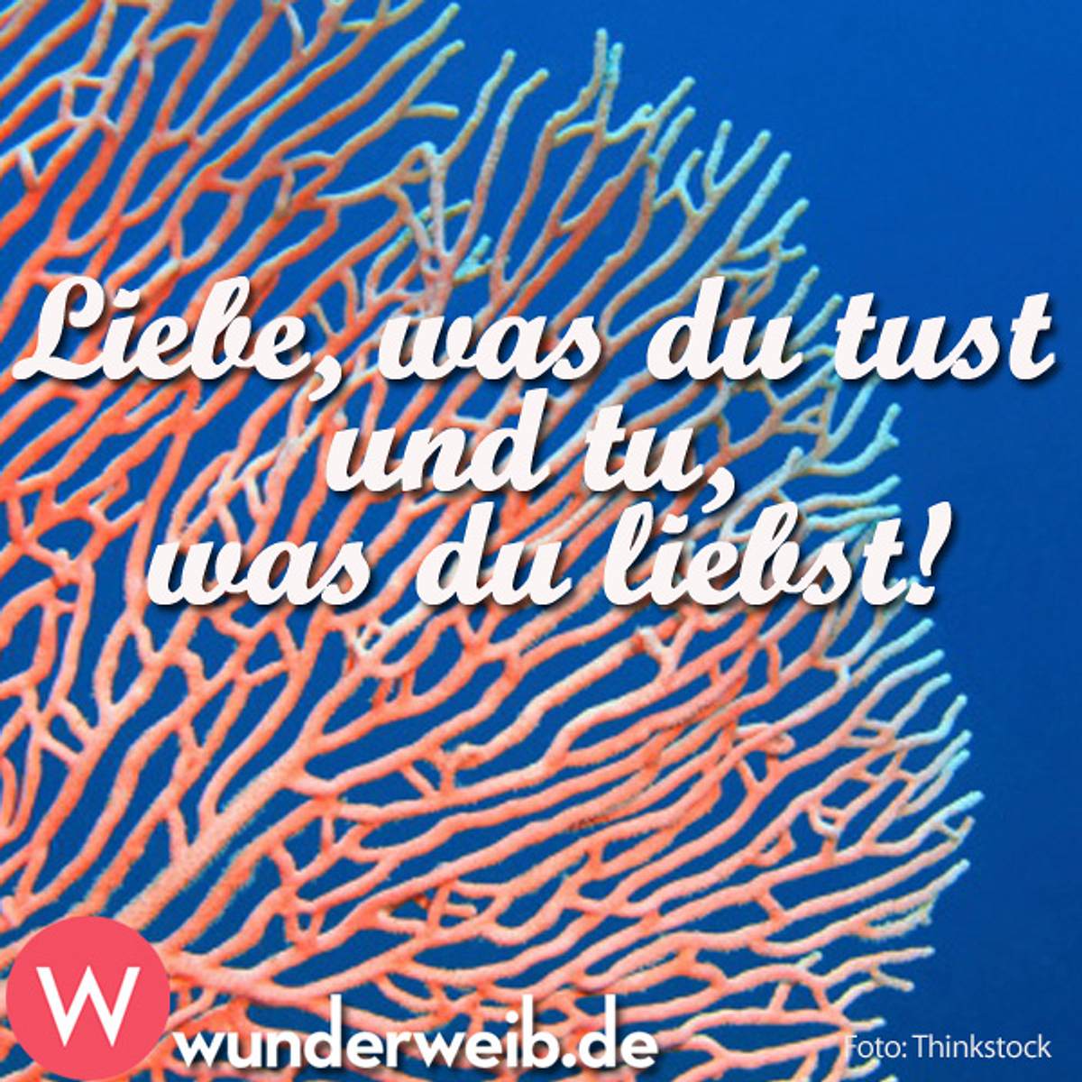 spruch des tages4