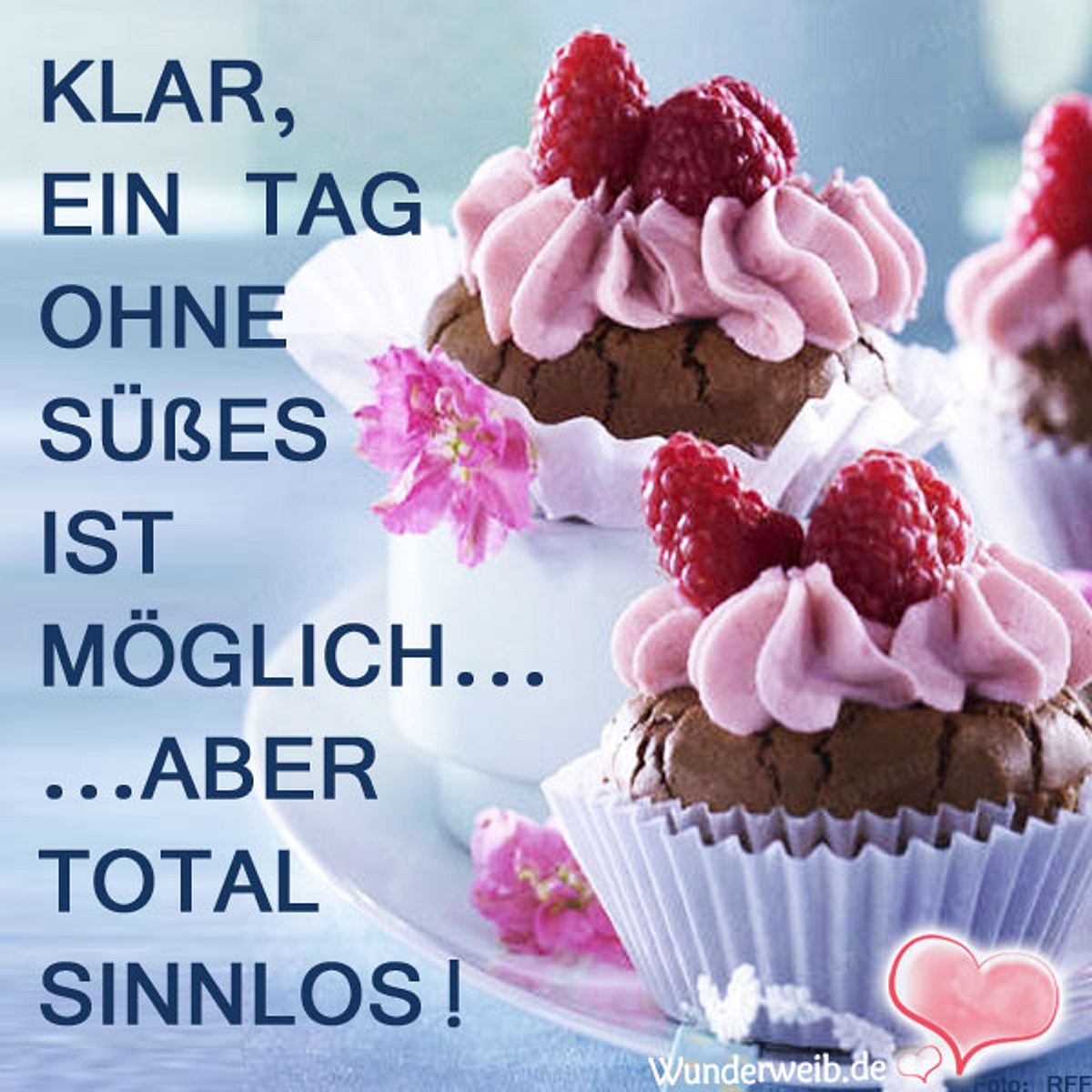 spruch des tages4