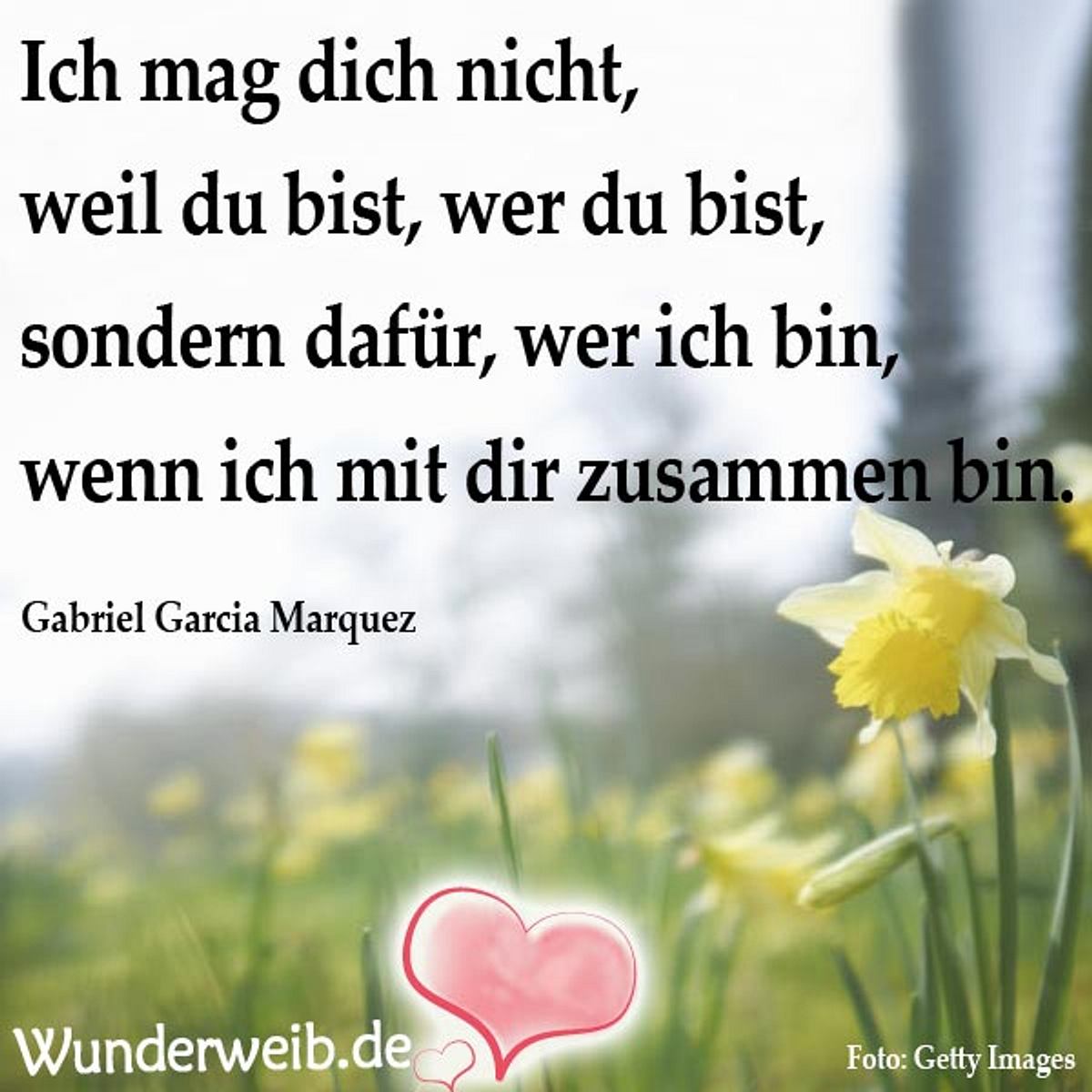 spruch des tages4