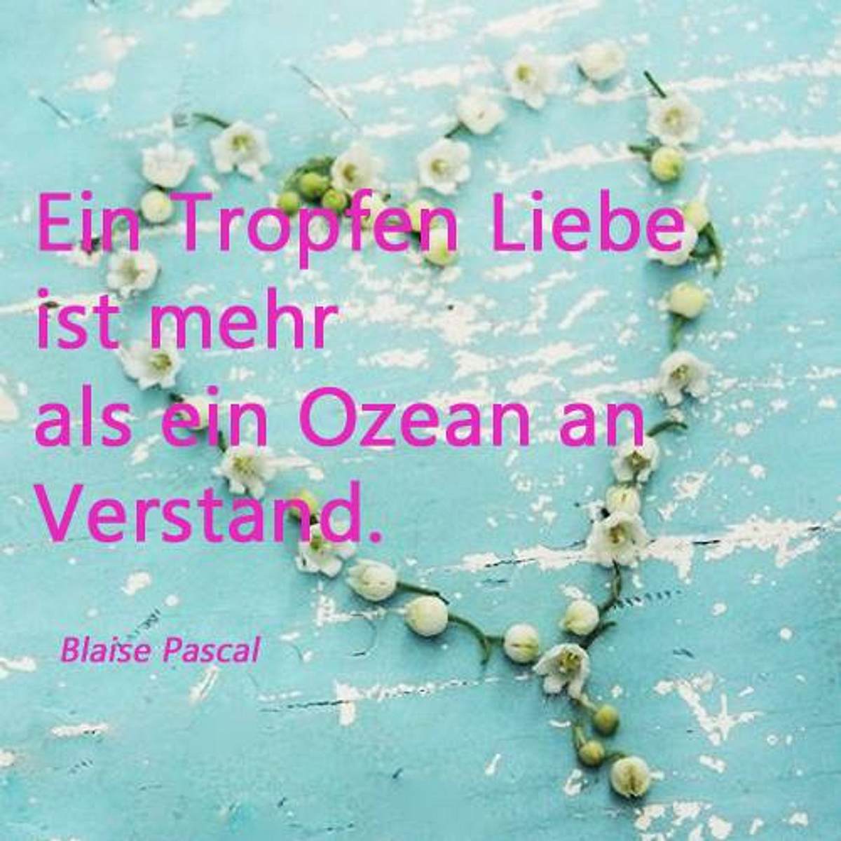 spruch des tages4