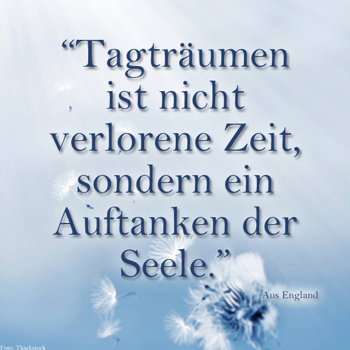 spruch des tages4