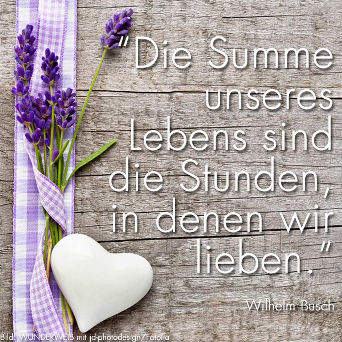 spruch des tages4