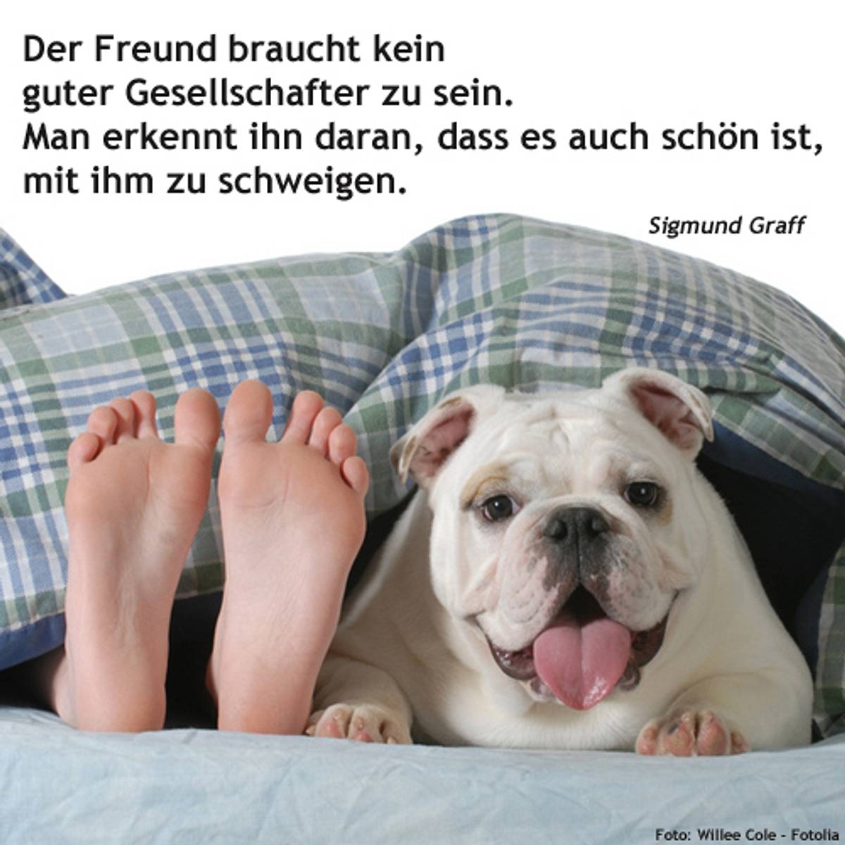 spruch des tages4