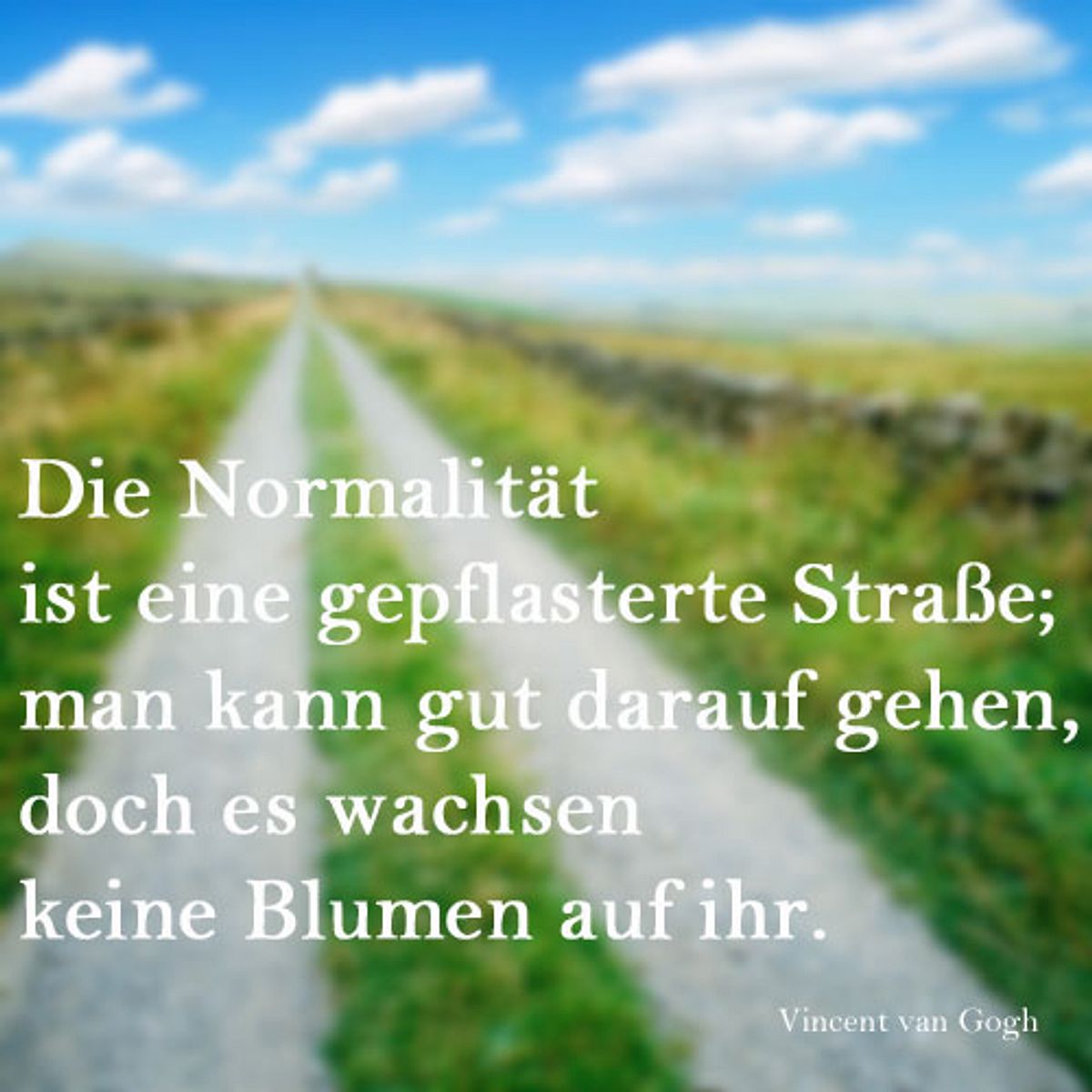 spruch des tages4