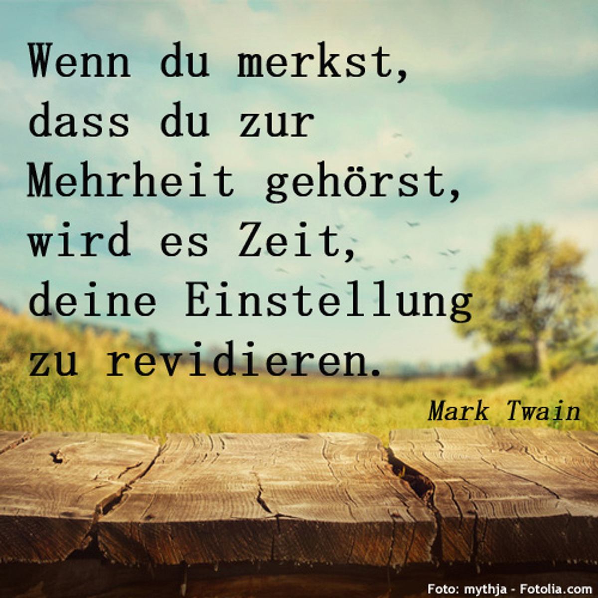 spruch des tages4