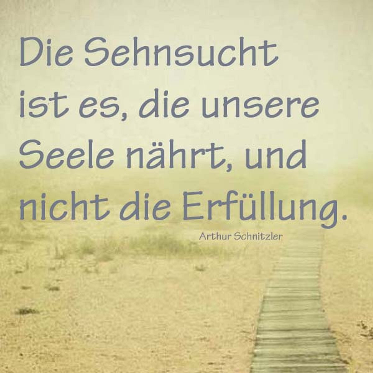 spruch des tages4