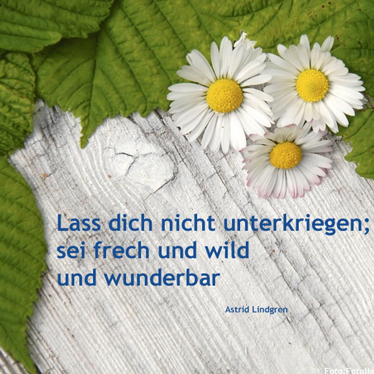 spruch des tages4