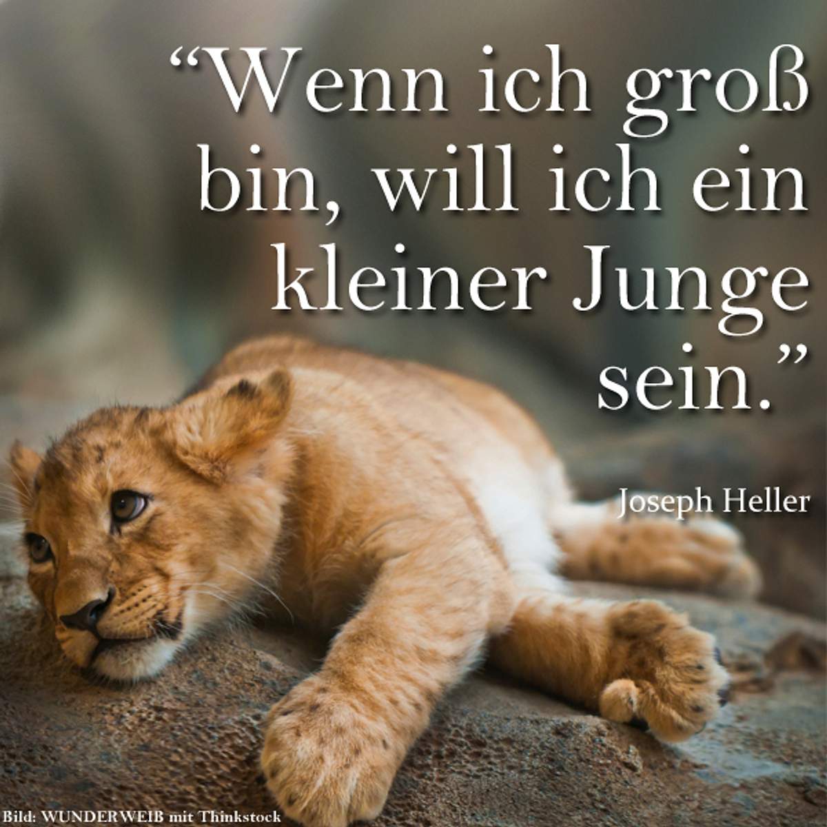 spruch des tages4