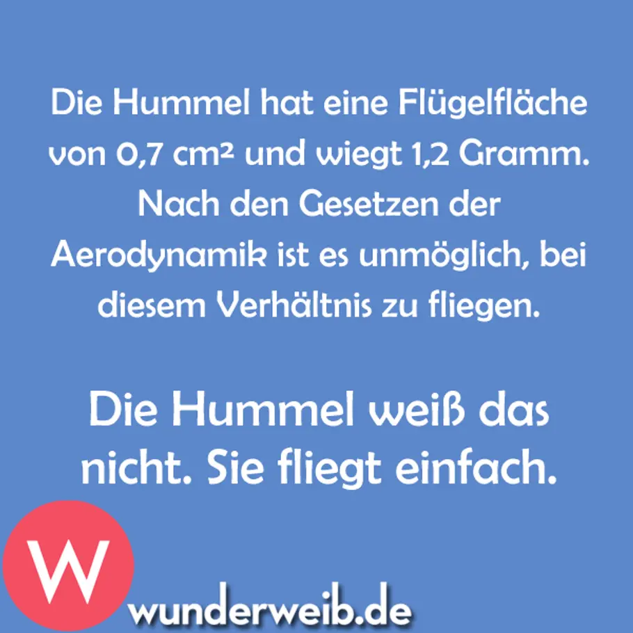 Motto des Tages - Weisheiten für jeden Tag spruch des tages4