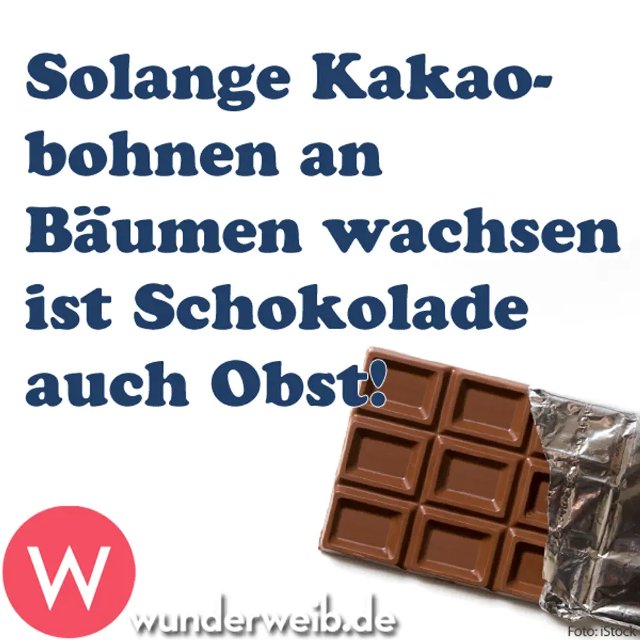 Lustige Sprüche für jeden Tag spruch des tages4