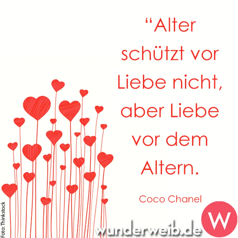 Weisheit des Tages - Zitate für jede Gelegenheit spruch des tages4