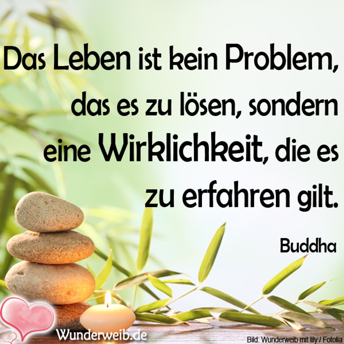 spruch des tages4