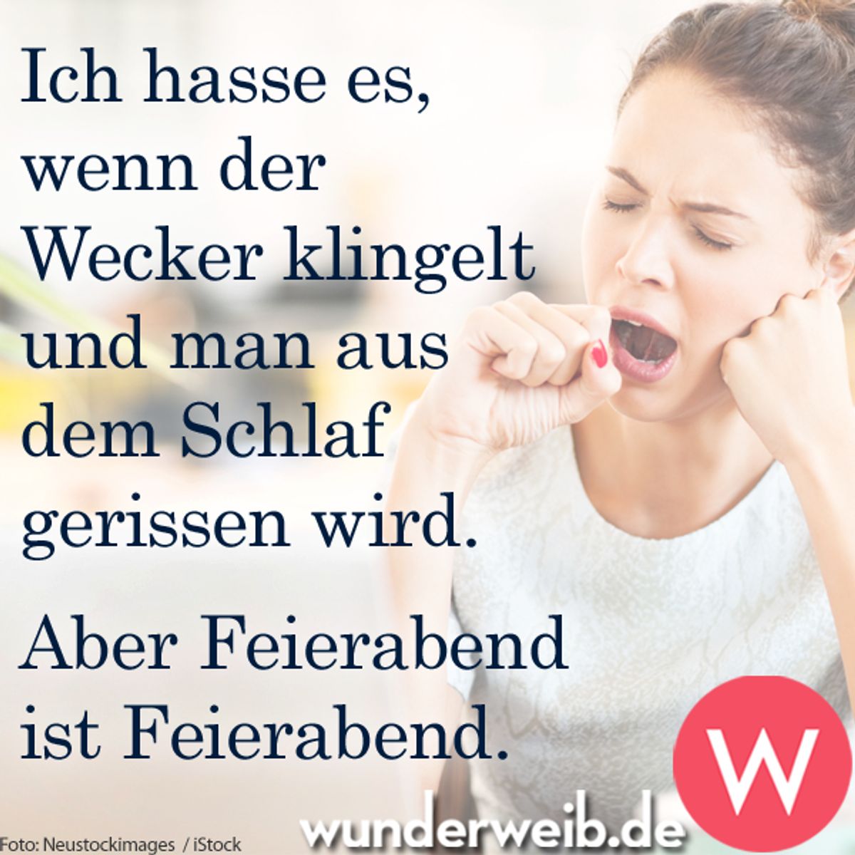 spruch des tages4