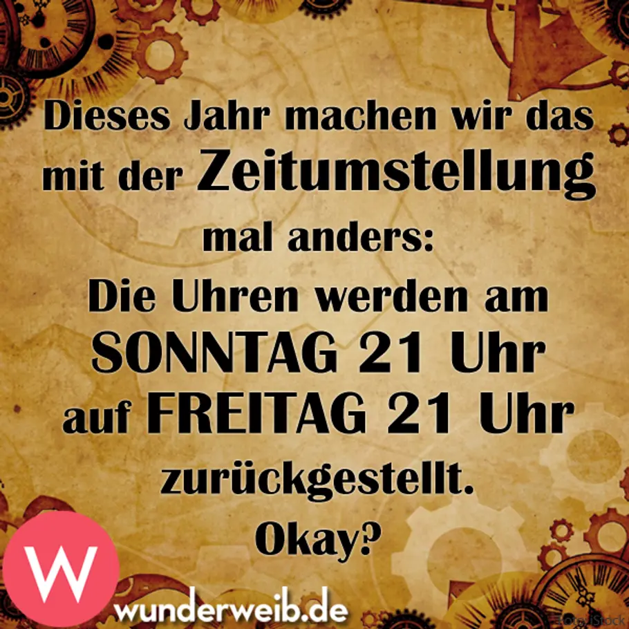 Lustige Sprüche für jeden Tag spruch des tages4