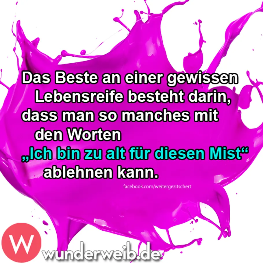 Spruch des Tages - witzige Sprüche für jede Lage spruch des tages4
