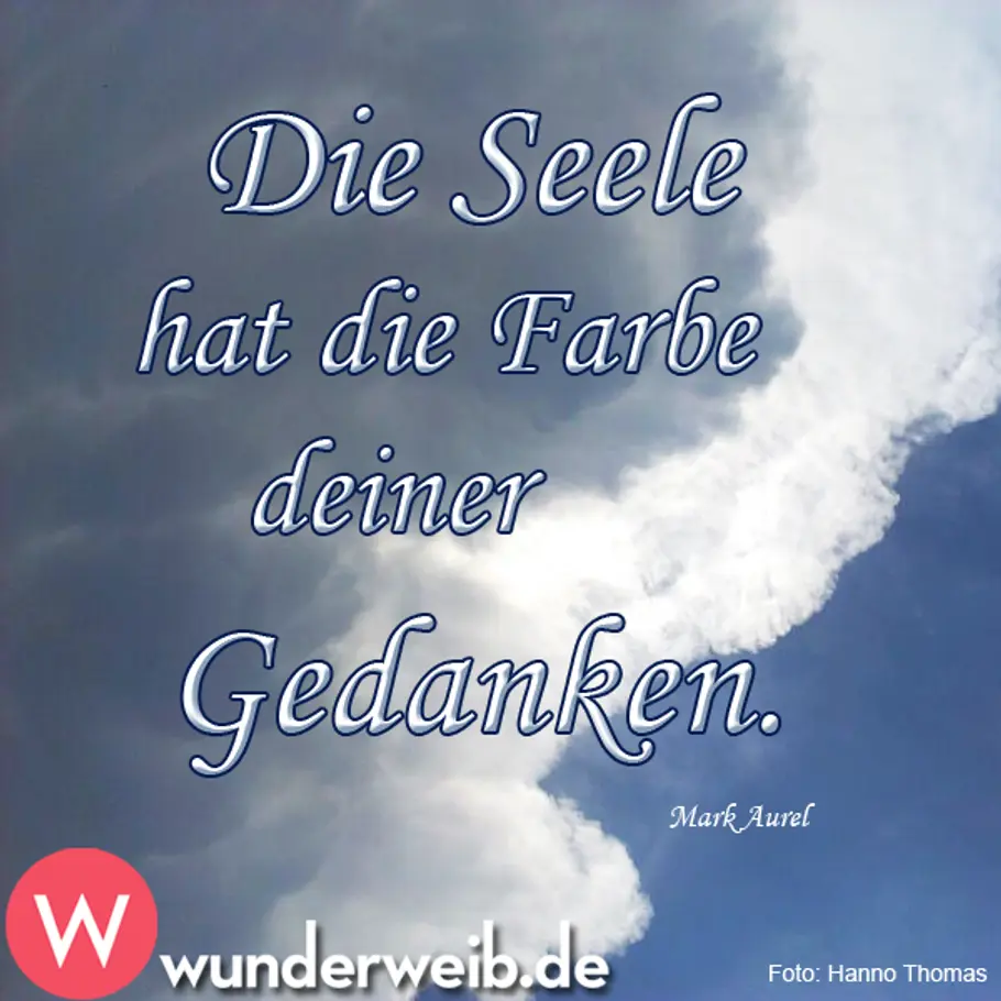Zitat des Tages - positive Gedanken spruch des tages4