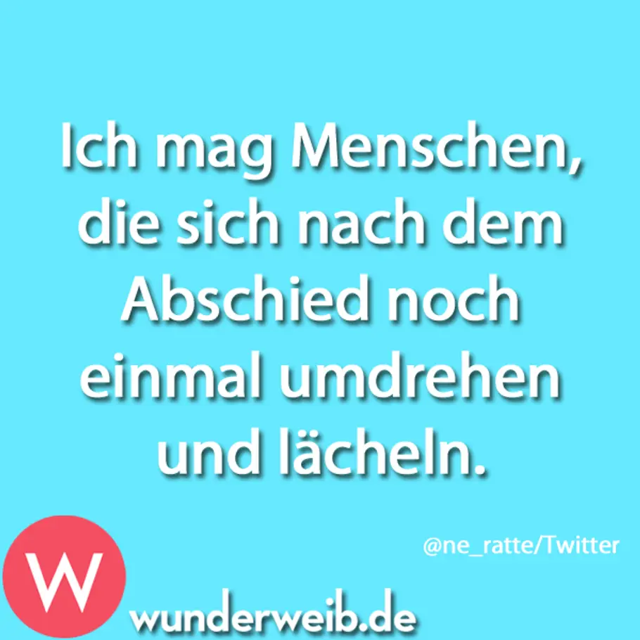 Spruch des Tages - Weisheiten für jede Lebenslage spruch des tages4