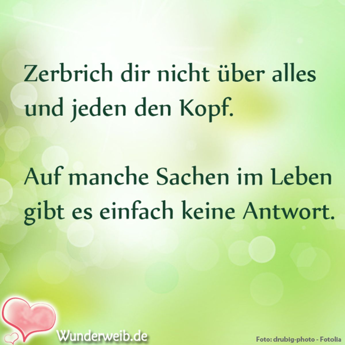 spruch des tages4