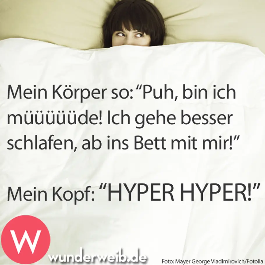 Lustige Sprüche für jede Gelegenheit spruch des tages4
