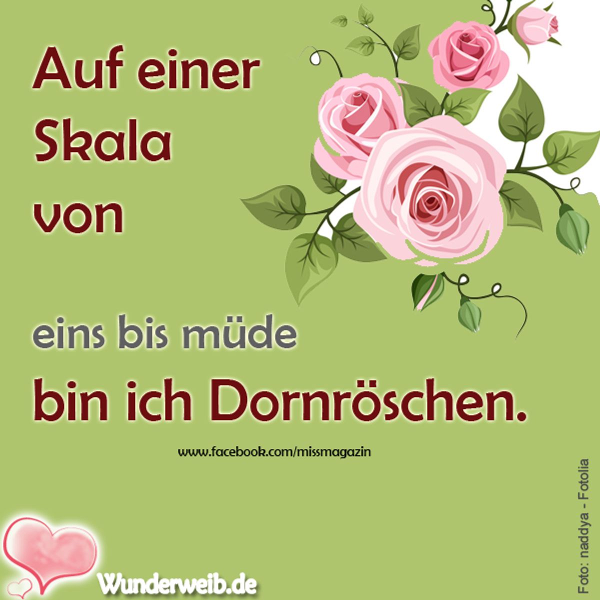 spruch des tages4