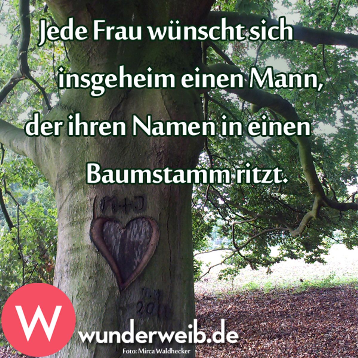 spruch des tages4