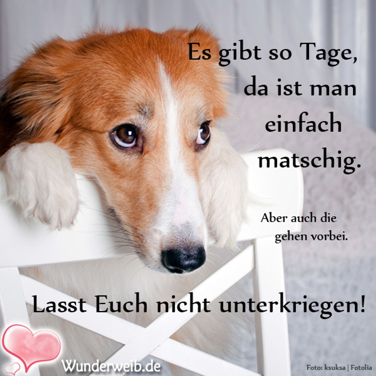 spruch des tages4