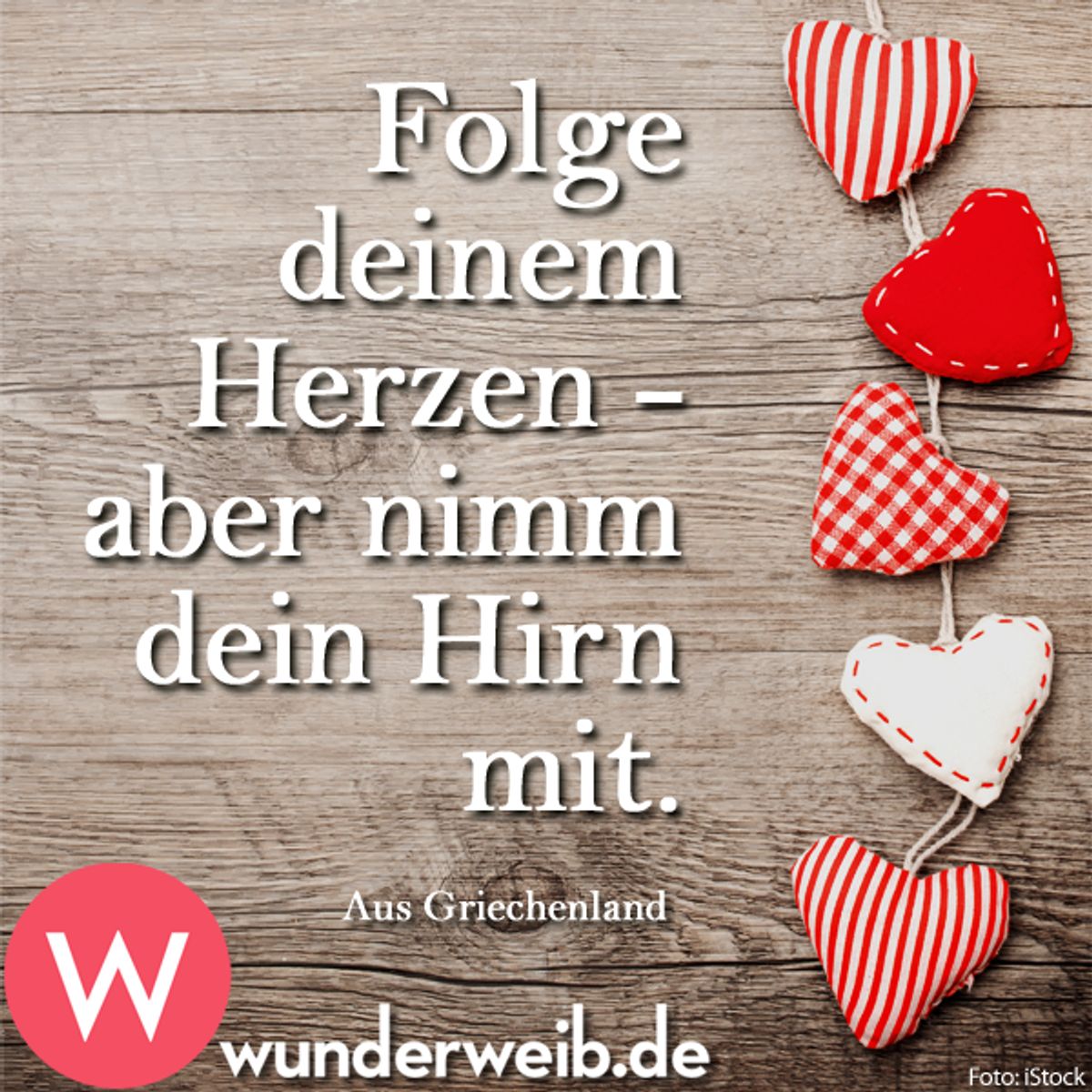 spruch des tages5 xx