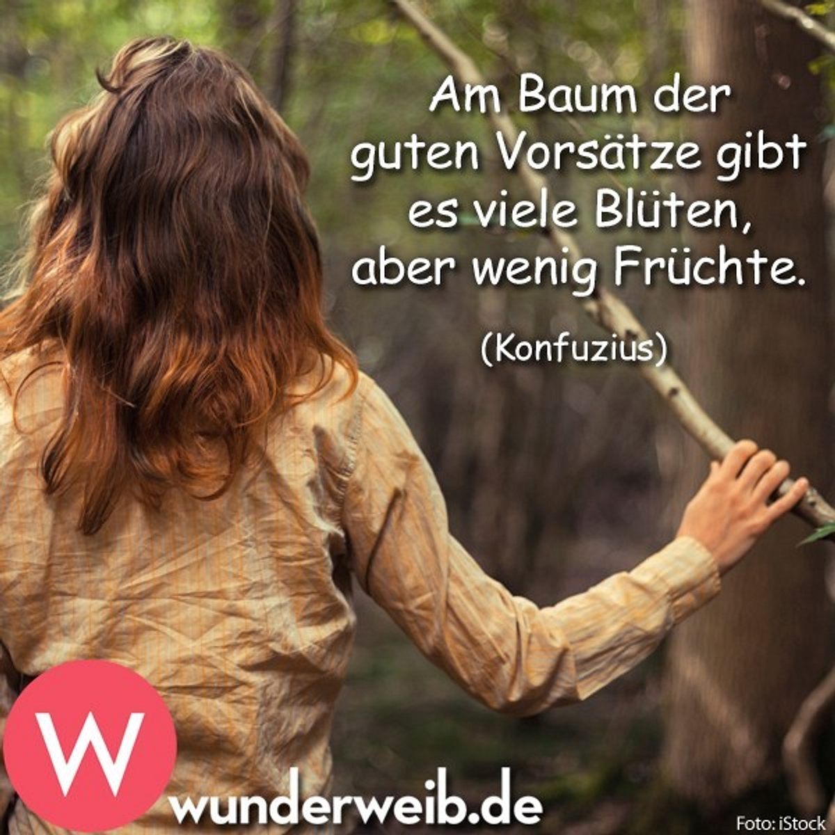 spruch des tages5