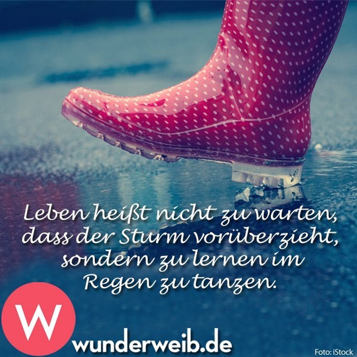 spruch des tages5