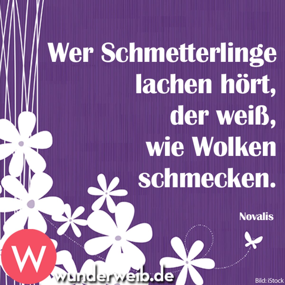 spruch des tages5