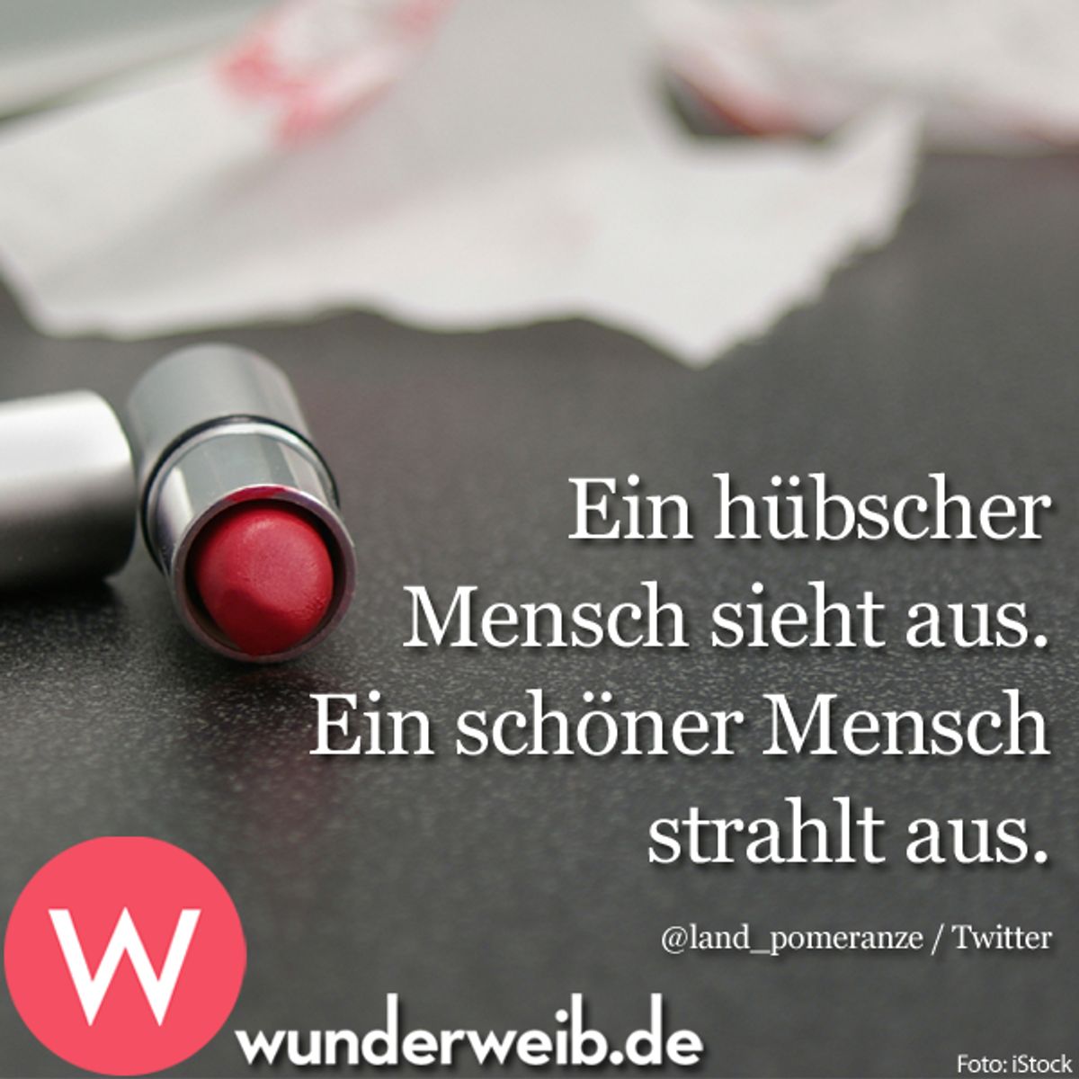 spruch des tages5