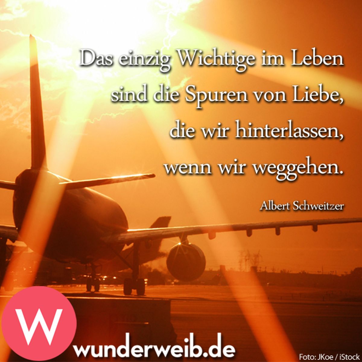 spruch des tages5