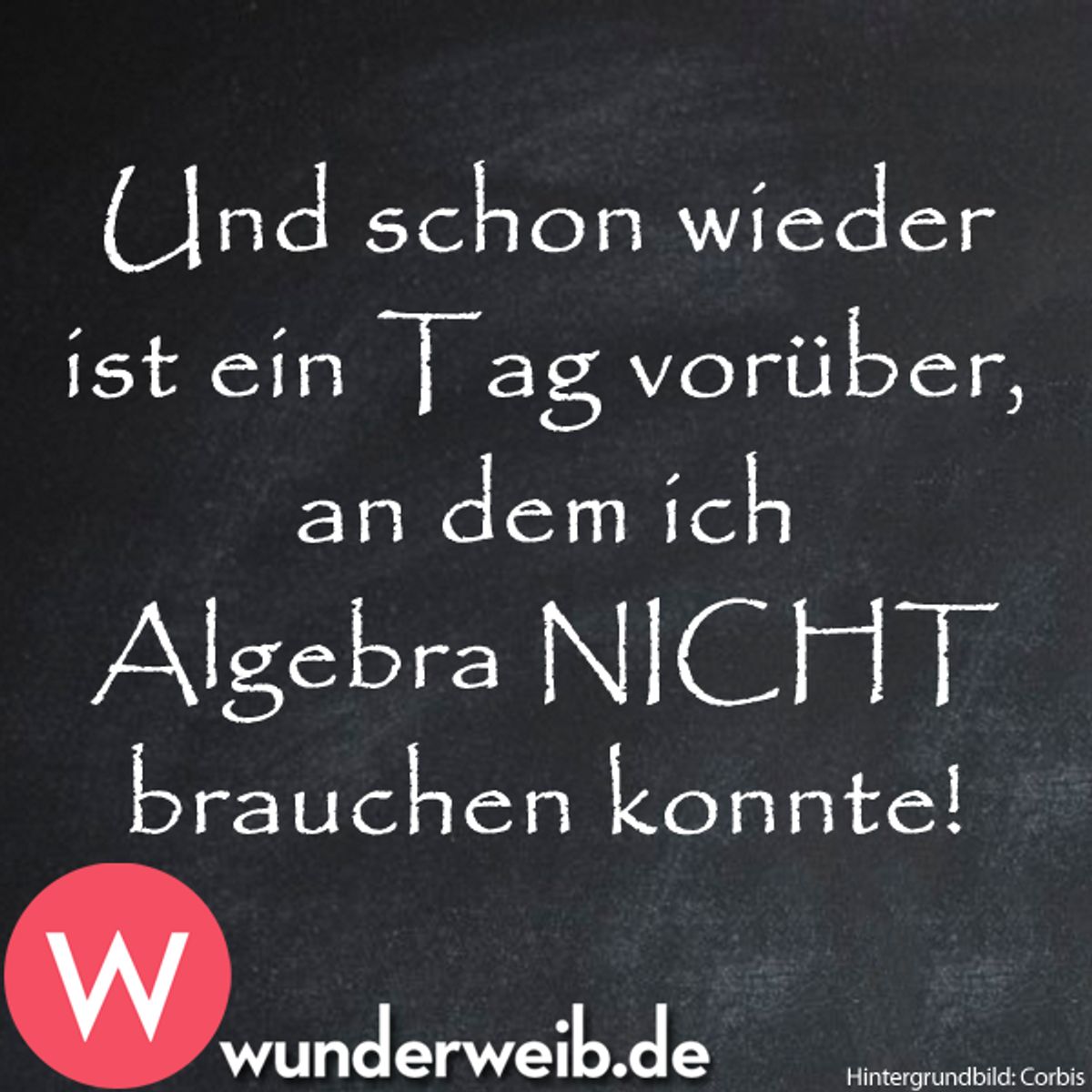 spruch des tages5