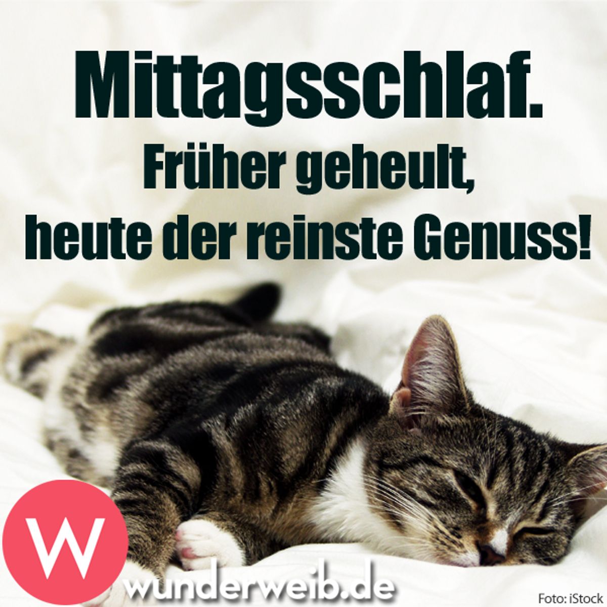 spruch des tages5