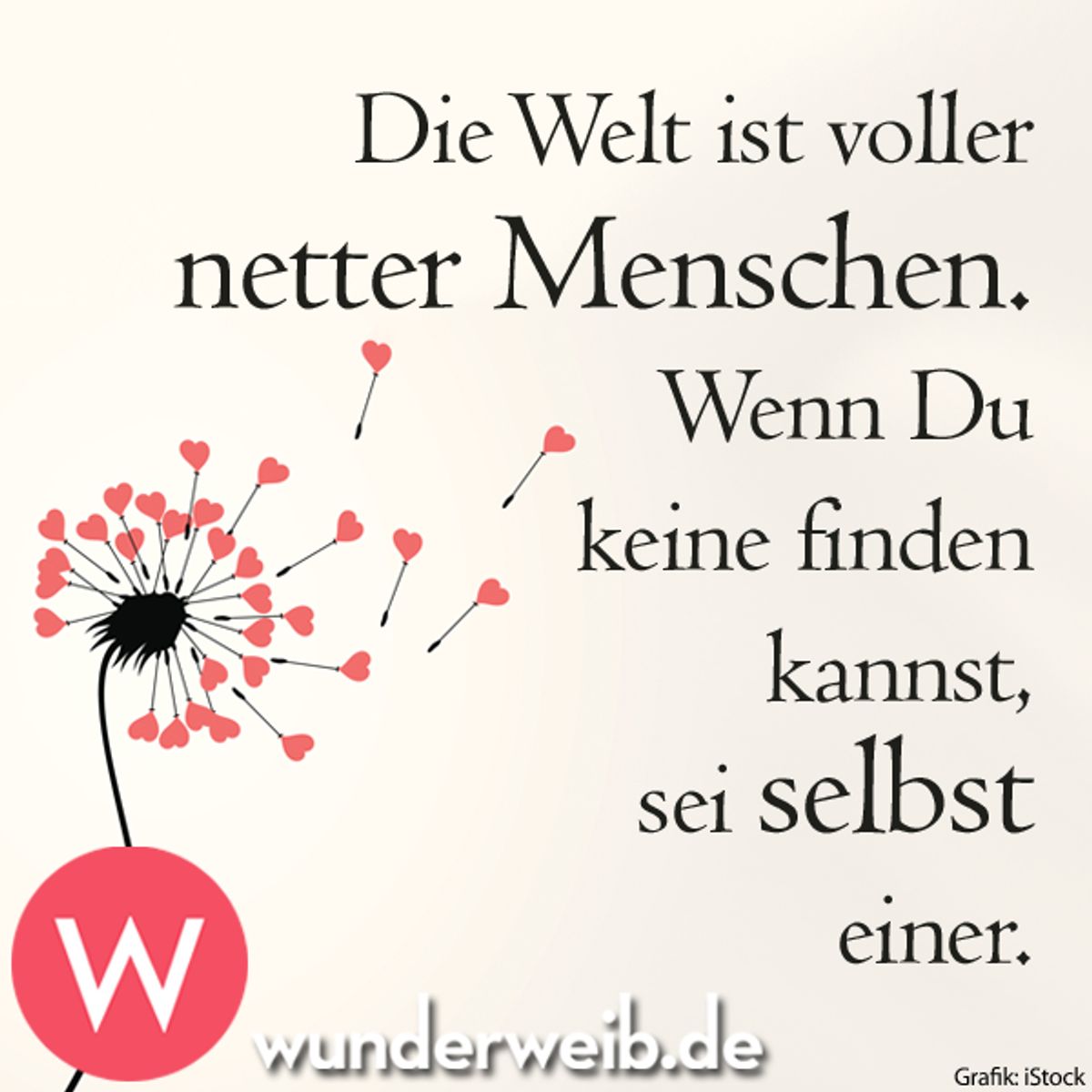 spruch des tages5